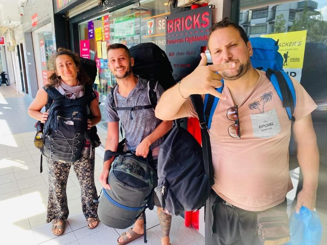 Capsule hotel Bricks Backpackers Sleepbox *